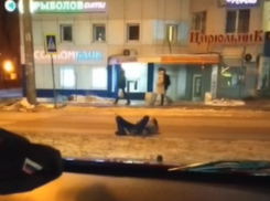 Загадочное поведение пешехода показали на дороге в Воронеже 