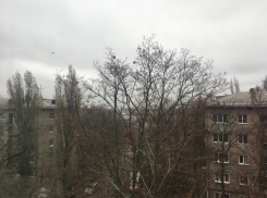 Холодный антициклон поменяет погоду в Воронеже