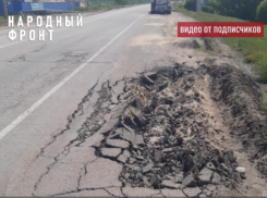 “Продолжает гадить”: мини-завод мешает жителям Воронежской области