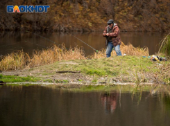 За 3 млн рублей запустят мальков для расчистки Воронежского водохранилища