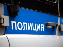 В Воронеже поймали серийных «домушников»