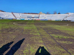 Воронежский «Факел» избежал штрафа за ужасное состояние игрового поля