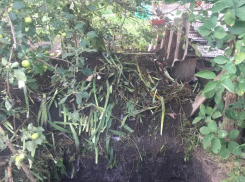 Жена рассказала, как задушила спящего мужа и закопала за домом в Воронежской области