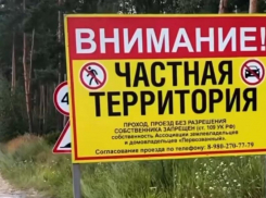 «Всякая блатота, какая-то шерсть»: воронежец жестко возмутился «продажности» яблоневых садов в Подгорном