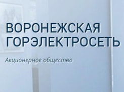 Депутаты пустили с молотка Воронежскую горэлектросеть