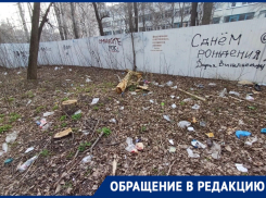 «Просто жесть»: на тотальное загрязнение квартала пожаловалась жительница Воронежа