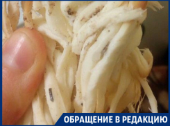 Воронежцев разочаровал местный сыр косичка с песком и грязью