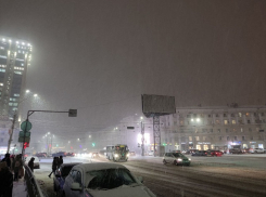 «А не пошли бы вы»: воронежанка заявила, что её послали диспетчеры компании-перевозчика