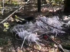Неприглядную сторону новой велодорожки показали в воронежском Шилово