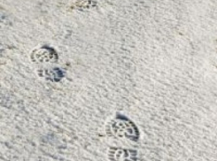 Полицейские Верхнехавского района задержали вора по его следам