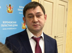 Владимир Нетёсов уходит из Воронежской областной Думы