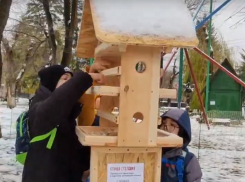 «Птичья столовая» открылась в Воронеже