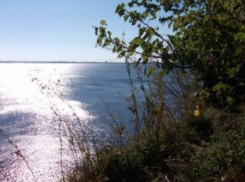 Воронежские предприниматели оставили 455 тонн опасных отходов вблизи Волгоградского водохранилища