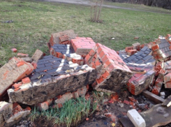 Надежды воронежцев назвать парк в честь мэра сошли на нет