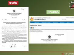 Сообщения о закрытии воронежских больниц и освобождении коек для раненых военных назвали фейком 