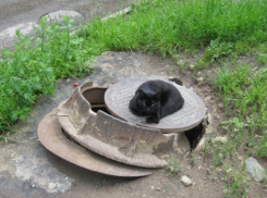 С воронежских улиц исчезают канализационные люки