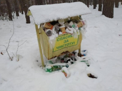 Мэр Кстенин проследит за мусором в Воронеже