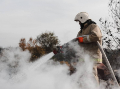 Страшные пожары в Воронежской области спрогнозированы на весну 2021