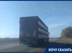 Чиновники объяснили, почему фуры со свиньями ездят в зоне карантина по АЧС в Воронежской области