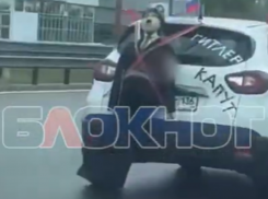 «Гитлер капут»: чучело фюрера провезли по Воронежу в День Победы