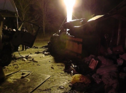 Три цирковых медведя, ехавших в Воронеж, попали в ДТП на Кубани