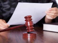 Мэр воронежской Анны за вырубку 400 деревьев в парке отделался в суде легким испугом