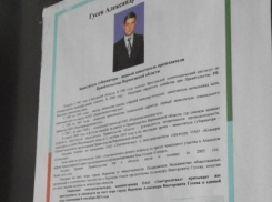 Рабочим завода «Электросигнал» предлагают проголосовать за кандидата в мэры Воронежа Александра Гусева