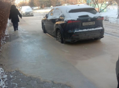 Машины массово примерзли к фекалиям в воронежском дворе 