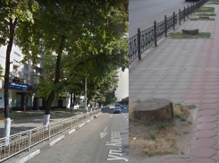 Воронеж станет еще менее зеленым – в центре города мэрия планирует массовую вырубку и обрезку деревьев
