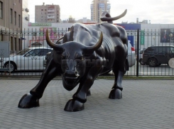 «Вместо быка я бы поставил осла, который символизирует большинство воронежских чиновников»