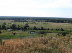 Воронежский сельчанин открыл частный зоопарк