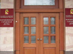 Дефицит воронежского бюджета вырос до миллиарда