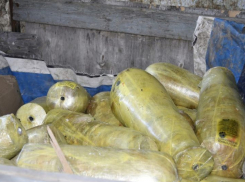 В Воронежской области уничтожили 1,3 тонны мясных полуфабрикатов для шаурмы