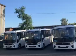 20 новых автобусов приехали в Воронеж