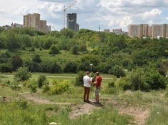 В Воронеже границы парка «Динамо» обозначат 140 табличек