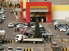 Первую новогоднюю елку заметили в осеннем Воронеже