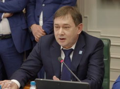 Новости «времен Нетесова» подарили новым депутатам Воронежской облдумы, но этому нашлось объяснение