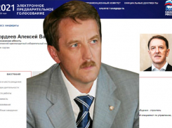 Как бывший министр РФ Алексей Гордеев скатился до праймериз ЕР в одномандатном