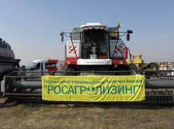 Брат редактора воронежского «Коммерсанта» стал фигурантом уголовного дела «Росагролизинг»