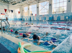 Плавай с «Дельфином»: где в Воронеже воспитывают юных мастеров плавания