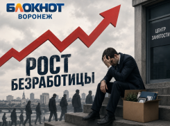  Рост безработицы зафиксировал Воронежстат