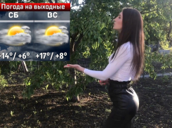 Переменчивая погода ждет воронежцев на выходных