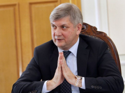 Александр Гусев заявил, на чьих примерах воспитывается воронежская молодежь