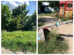 «Полная разруха»: на ужасное состояние сквера пожаловалась жительница Воронежа