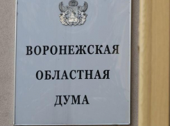 Хорошие воронежские родители будут получать выплаты не один раз в год