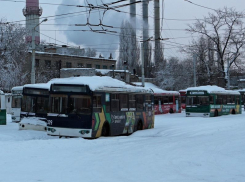 Мэрия купит для воронежцев «бэушные» троллейбусы у Москвы