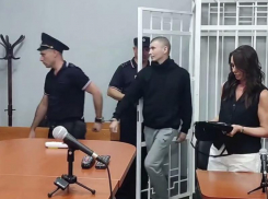 Суд вынес приговор пьяному водителю, по чьей вине погибла молодая девушка в Воронеже