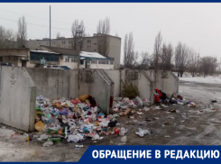 Разбросанные по Поворино отходы вскрыли проблемы мусоросортировки в Воронежской области 
