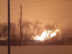 Опубликовано видео жуткого пожара на тепличном комплексе в Воронежской области