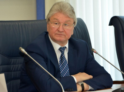 Владимир Ходырев избран спикером Воронежской городской Думы